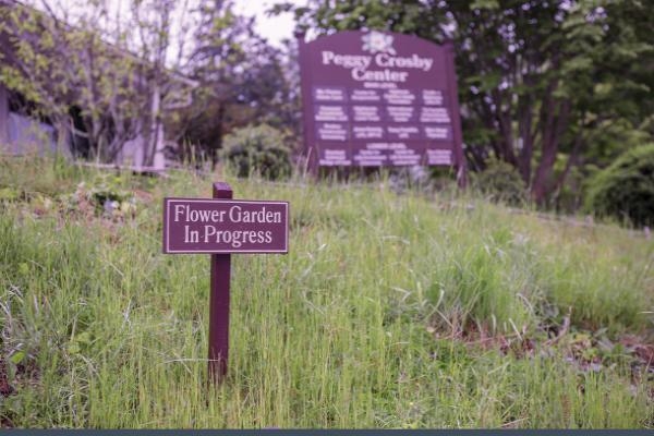 PCC is Becoming BEE-utiful - Laurel Magazine - June, 2019